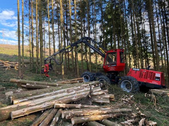 Holzrückung